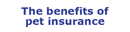British Veterinary Association: the benefits of pet insurance