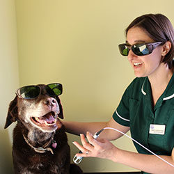 K-laser therapy