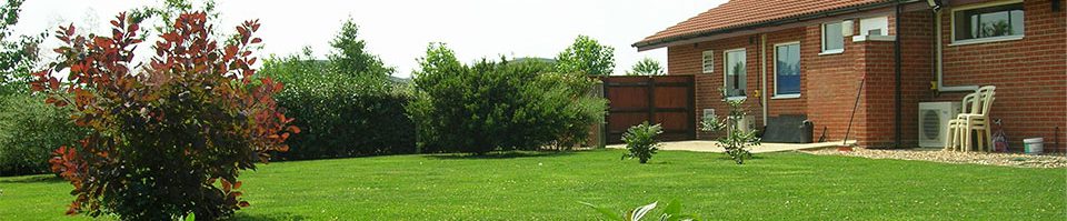 view of the garden at Macqueen Vets