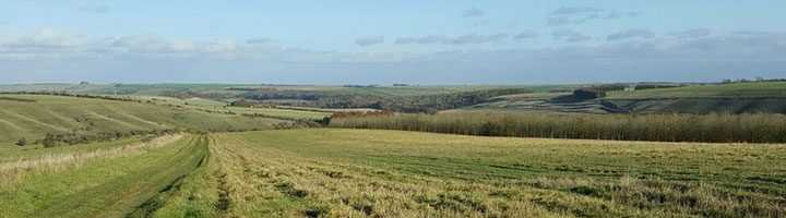 Wiltshire landscape