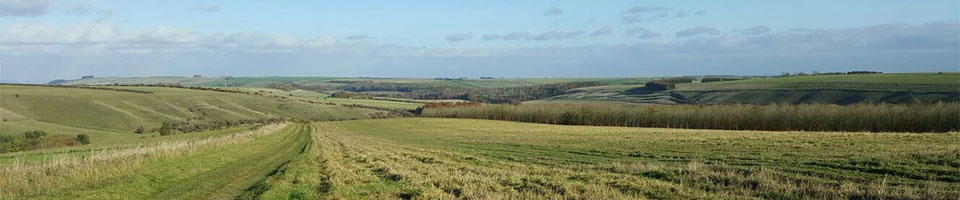 Wiltshire landscape
