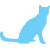 Cat logo