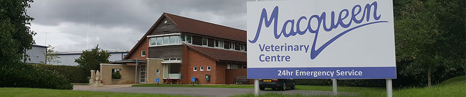 Macqueen Vets premises in Devizes, Wiltshire