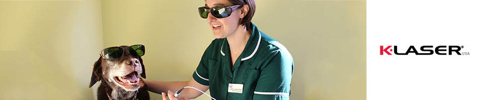 Macqueen Vets nurse administering K-Laser pain-relief treatment