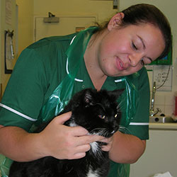 Nurse with cat