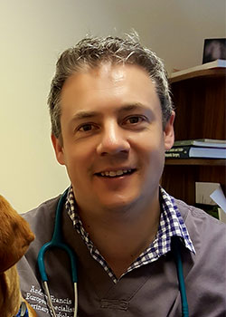 Andrew Frances Cardiology Referrals