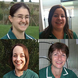 Macqueen Nurse Clinic Team