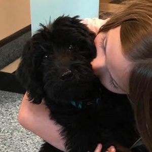 Ava the Labradoodle, Macqueen Puppy Party graduate from Devizes