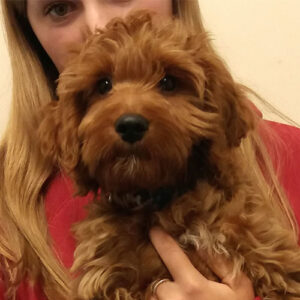 Max the Cockerpoo, Macqueen Puppy Party Graduate from Potterne