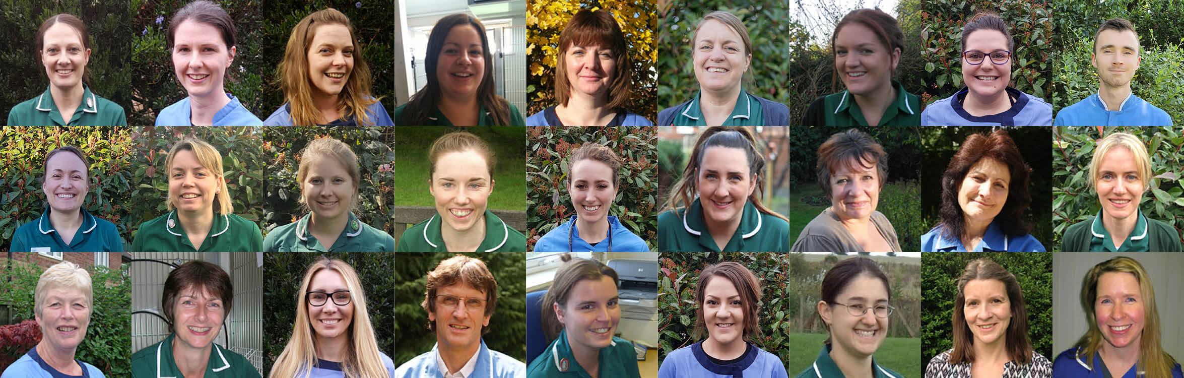 Our friendly and caring team of Fully qualified veterinary surgeons and nurses