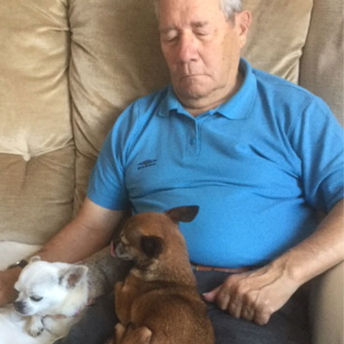 Older man with dogs