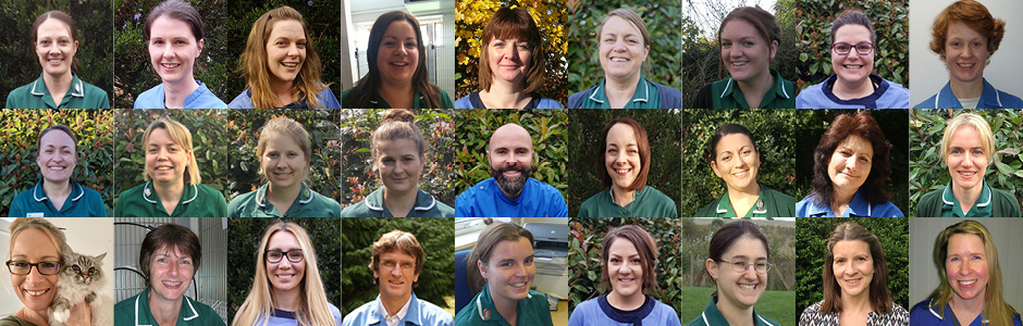 Our friendly and caring team of Fully qualified veterinary surgeons and nurses