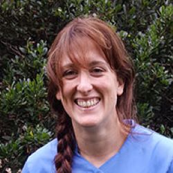 Dr Helen Jones : Consulting Vet