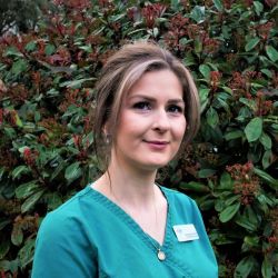 Jess RVN : Lead Ward Nurse