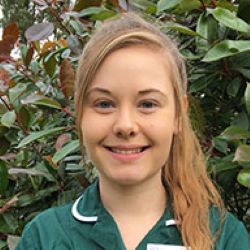 Rachel RVN : Veterinary Nurse